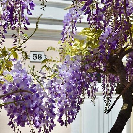 Bed and Breakfast Wisteria Фонтенбло Екстер'єр фото