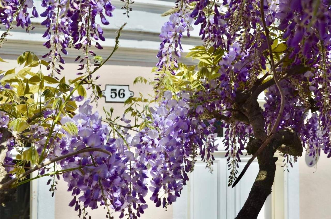 Bed and Breakfast Wisteria Фонтенбло Екстер'єр фото
