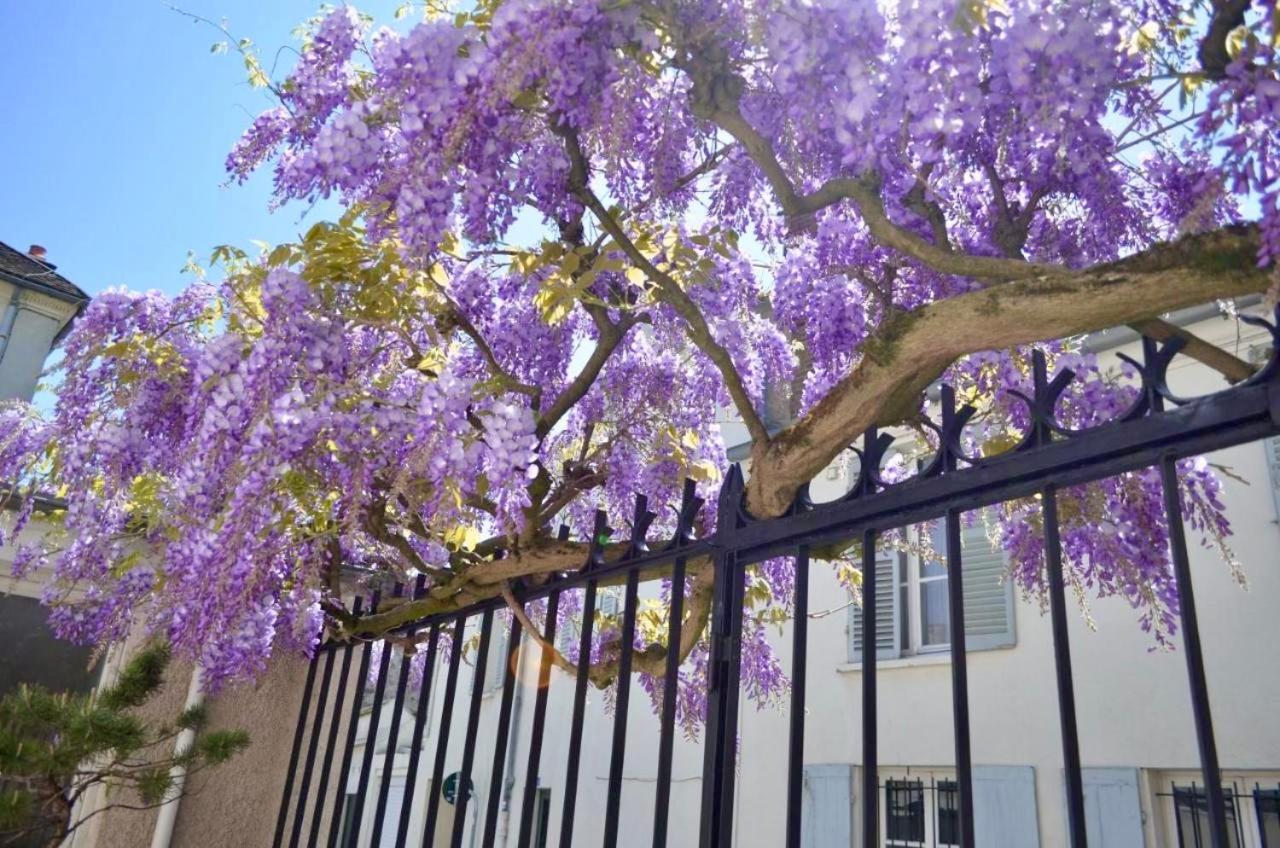 Bed and Breakfast Wisteria Фонтенбло Екстер'єр фото